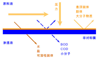 k8凯发(中国)天生赢家·一触即发_image8455