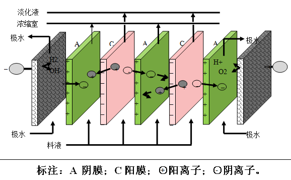 k8凯发(中国)天生赢家·一触即发_首页666